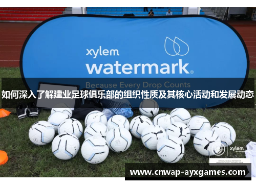 如何深入了解建业足球俱乐部的组织性质及其核心活动和发展动态 如何深入了解建业足球俱乐部的组织性质及其核心活动和发展动态