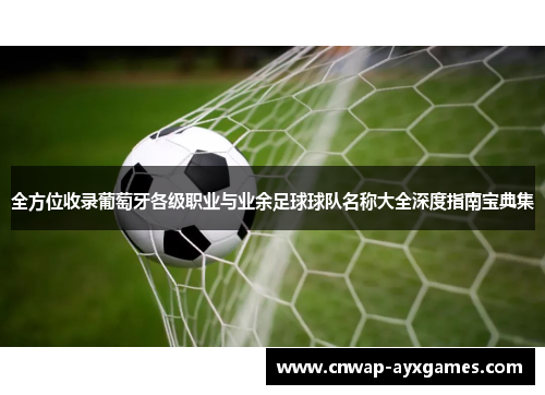 全方位收录葡萄牙各级职业与业余足球球队名称大全深度指南宝典集