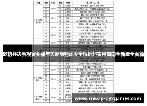欧协杯决赛观赛要点与关键规则深度全解析超实用指南全新版全面篇