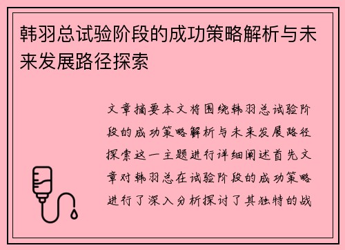 韩羽总试验阶段的成功策略解析与未来发展路径探索