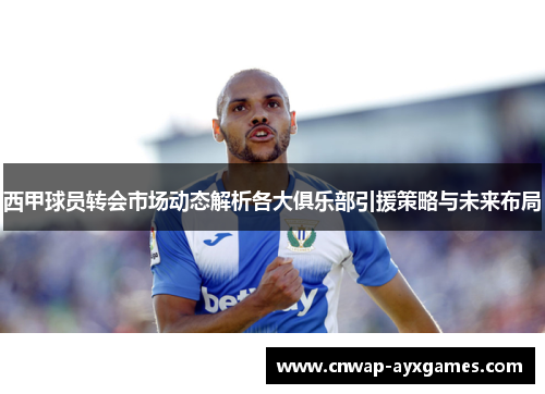 西甲球员转会市场动态解析各大俱乐部引援策略与未来布局