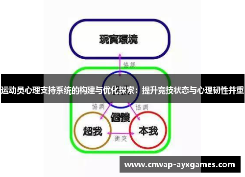 运动员心理支持系统的构建与优化探索：提升竞技状态与心理韧性并重