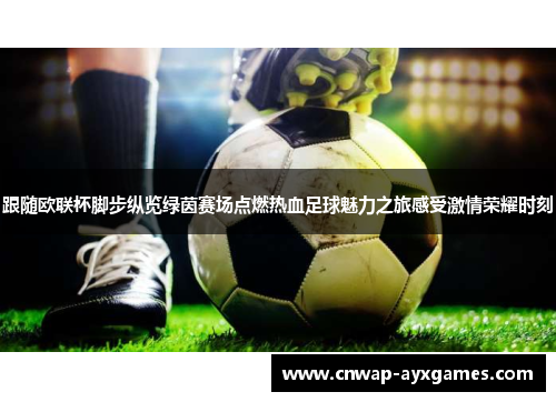 跟随欧联杯脚步纵览绿茵赛场点燃热血足球魅力之旅感受激情荣耀时刻 跟随欧联杯脚步纵览绿茵赛场点燃热血足球魅力之旅感受激情荣耀时刻