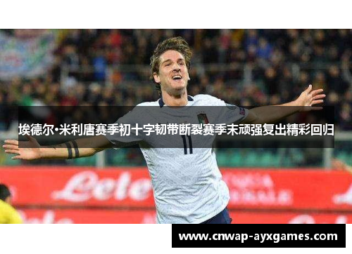 埃德尔·米利唐赛季初十字韧带断裂赛季末顽强复出精彩回归 埃德尔·米利唐赛季初十字韧带断裂赛季末顽强复出精彩回归