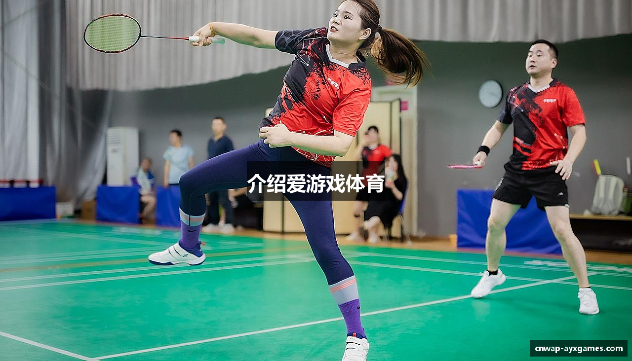 介绍爱游戏体育